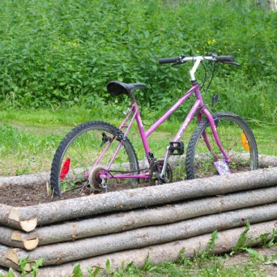 Build a Rustic Sweet Pea Planter from Found Materials