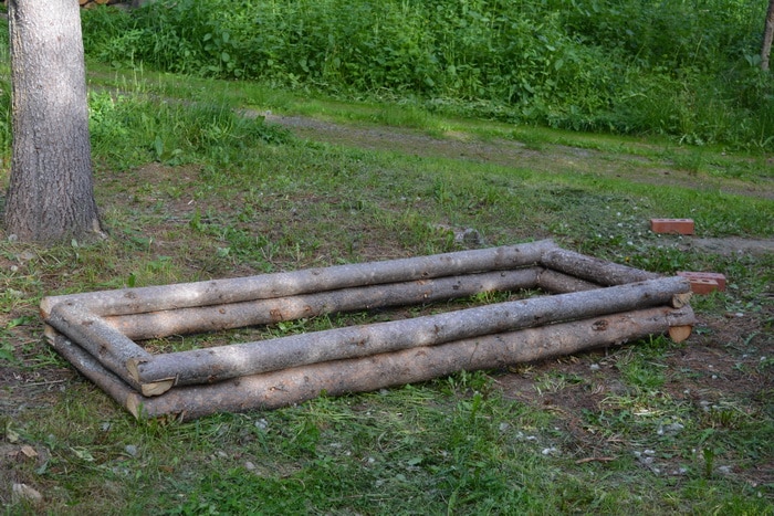 Log sweet pea planter