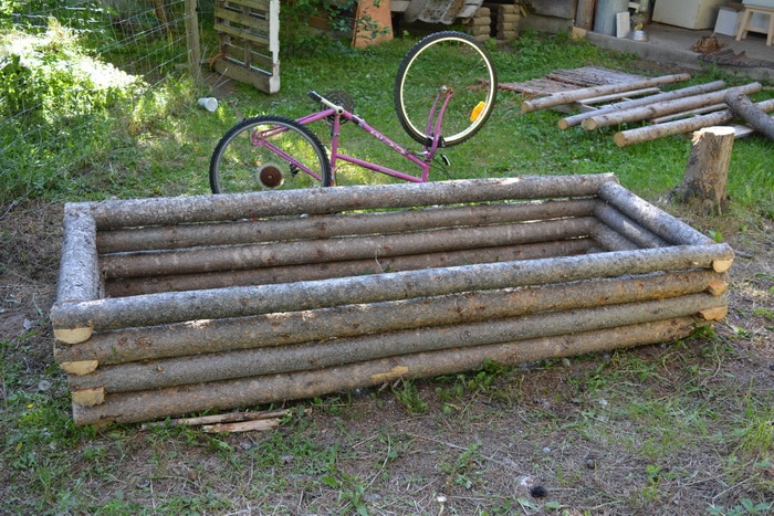 Sweet Pea planter made from pine logs with upside down bike