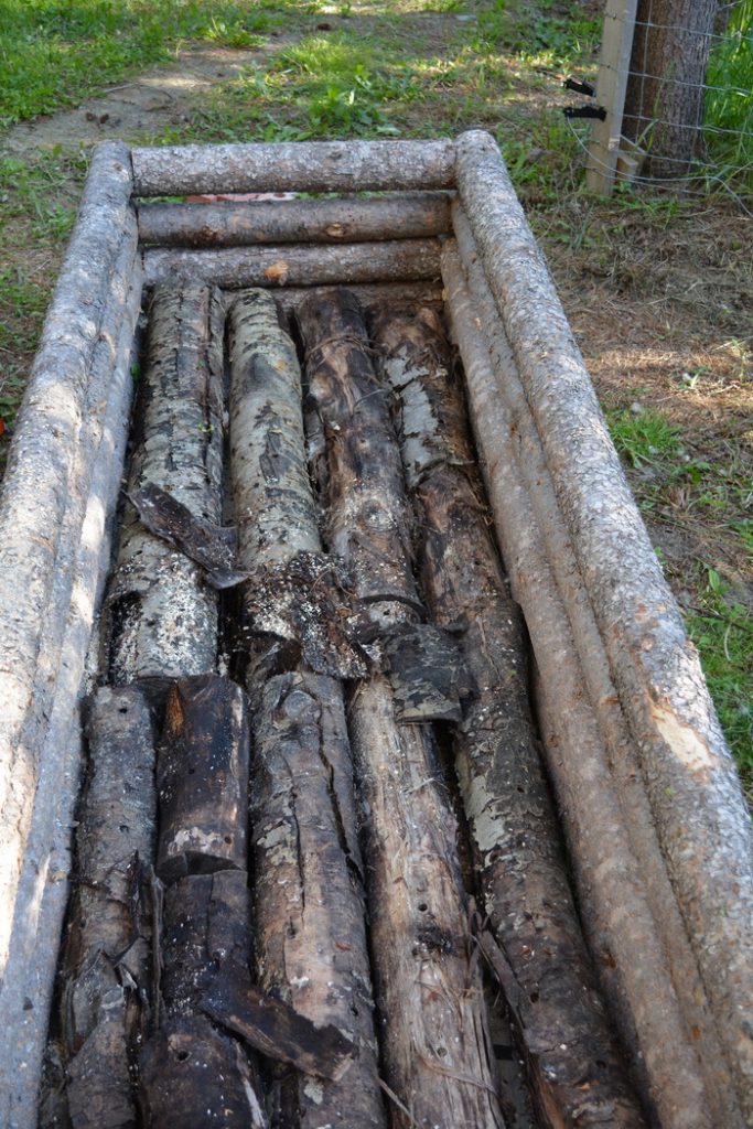 Mushroom logs fill in the ground in a sweet pea planter