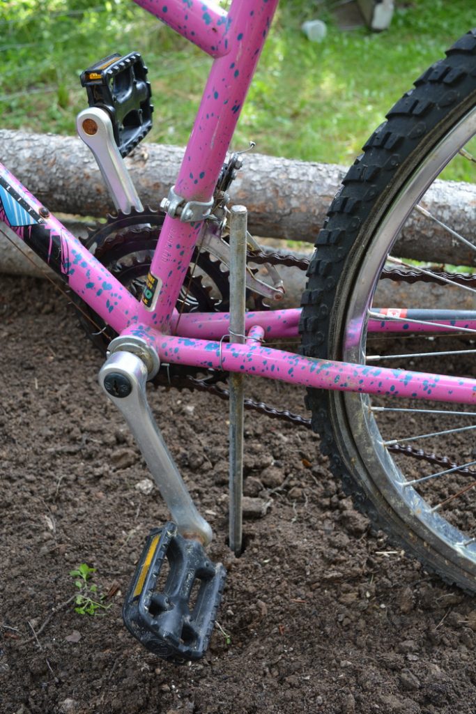 Bicycle attached to grounding rod in sweet pea planter