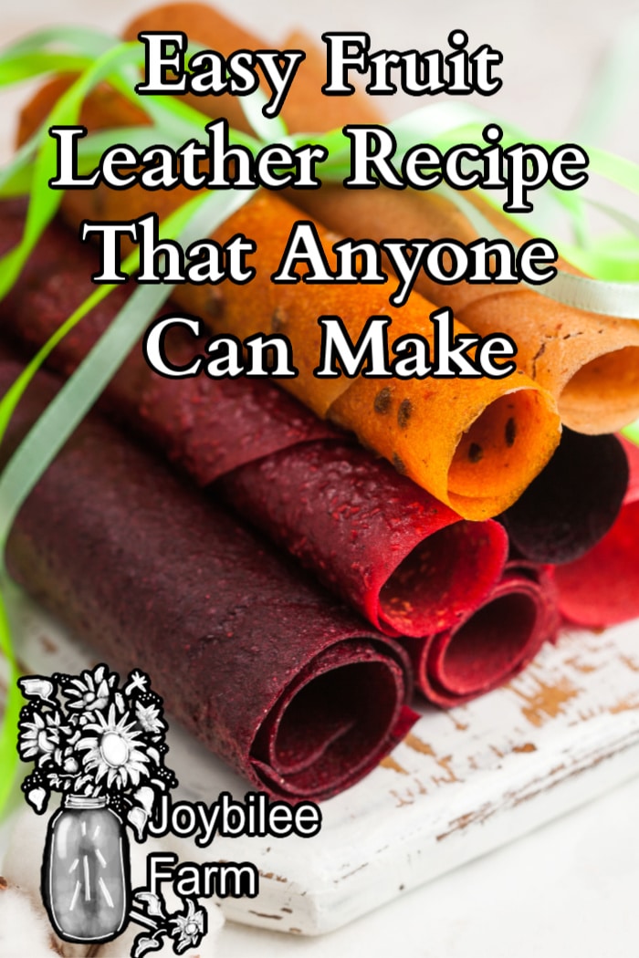 fruit leather rolls made from various types of fruit tied with a green ribbon.