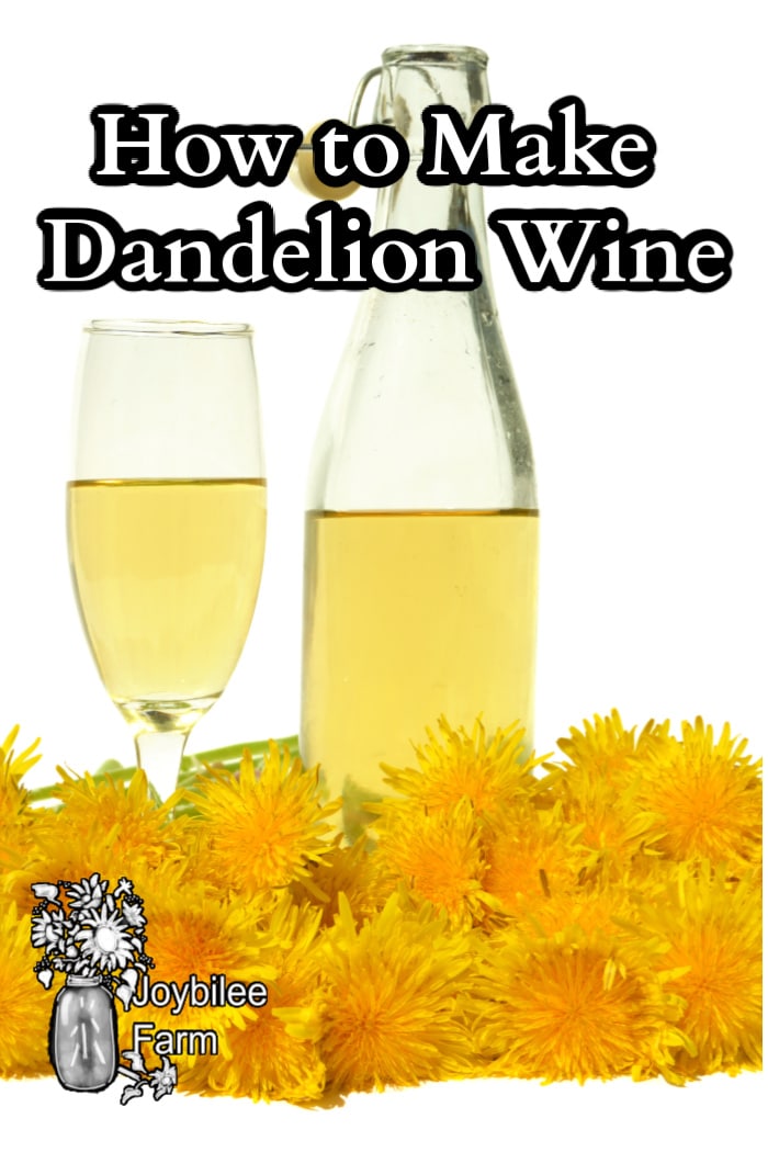 dandelion wine in a glass and bottle with dandelion flowers surrounding .