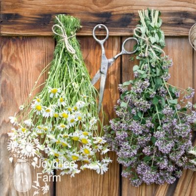3 Ways to Dry Herbs at Home