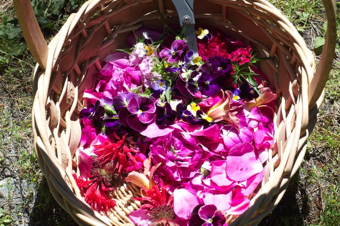 basket of flowers and petals for cookie making