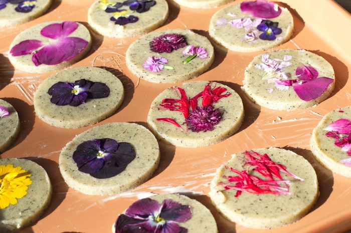 gluten free edible flower cookies on a tray, prepared for baking