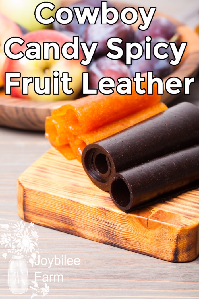 fruit leathers on a wooden board with fruit in the background