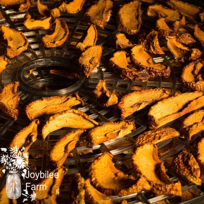 dried apples on a dehydrator tray