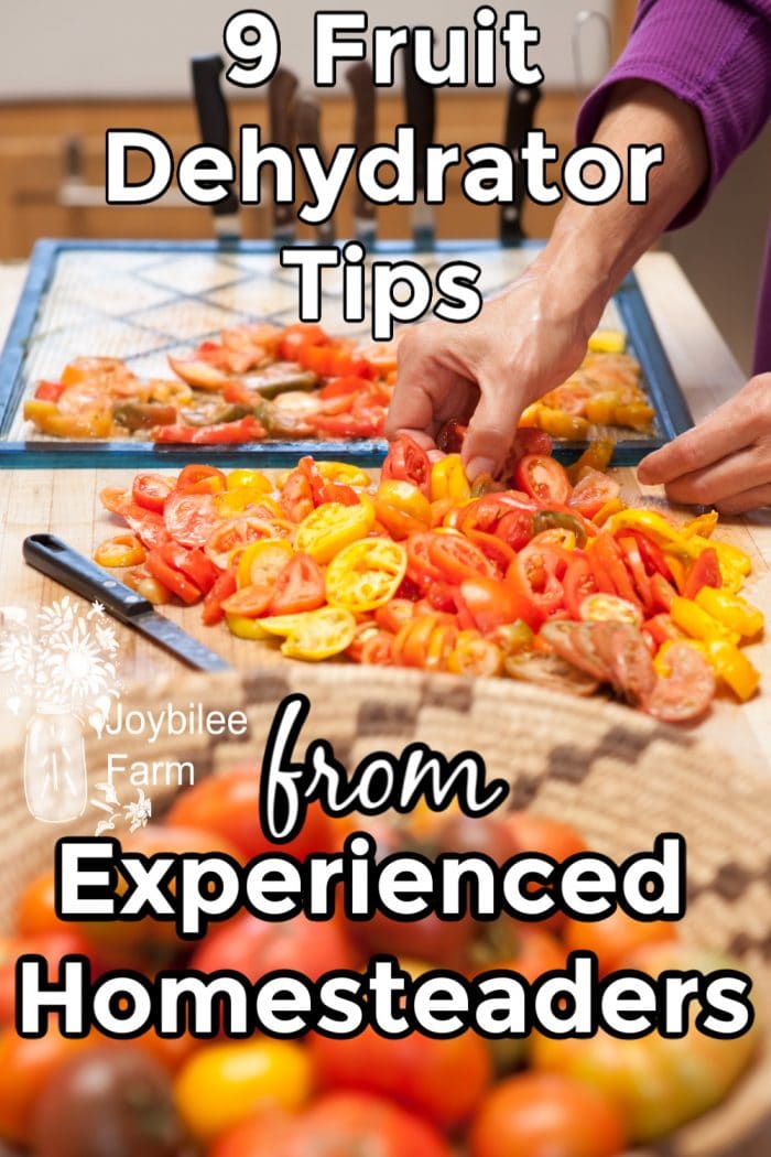 Heirloom tomatoes prepared for dehydrator drying