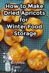 fresh, sliced apricots on a dehydrator tray