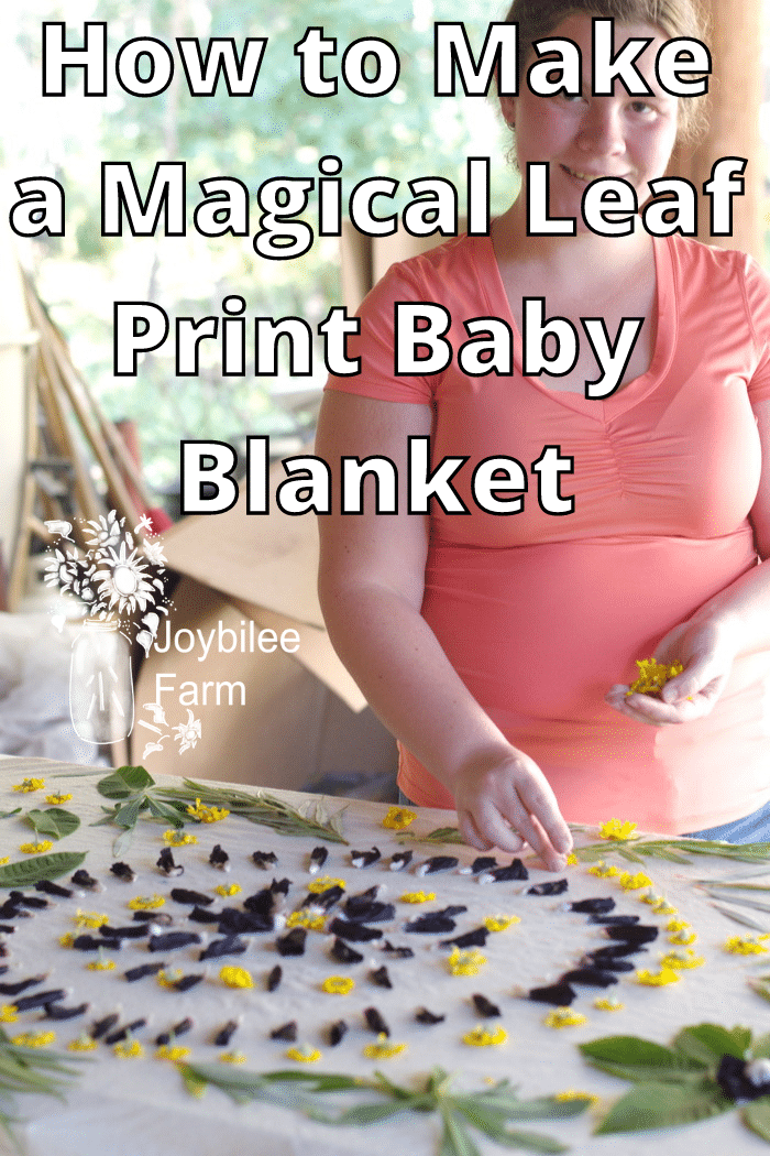 laying out the design for a leaf print baby blanket eco-print.
