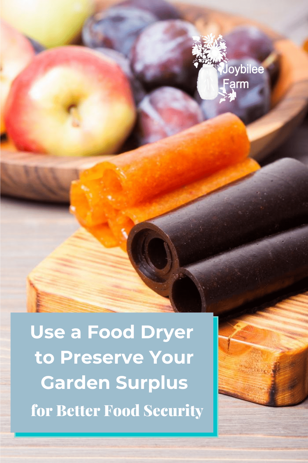 Apples, plums, and fruit leather