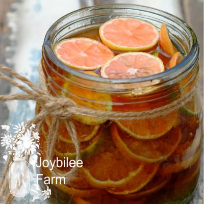 Fermented Honey for Coughs and Sore Throats