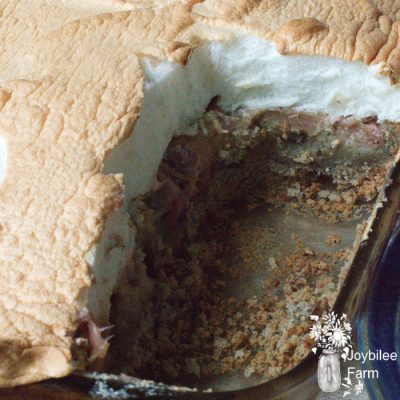 Rhubarb Custard Dessert that’s Gluten Free and Dairy Free
