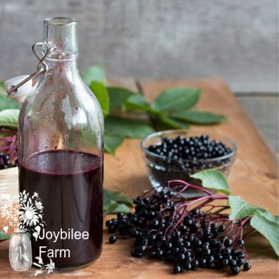 Easy Shelf Stable Elderberry Syrup