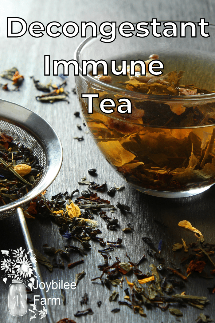 steeping herbal tea surrounded with dried herbs and tea herbs in a tea strainer.