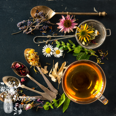Decongestant Immune Tea