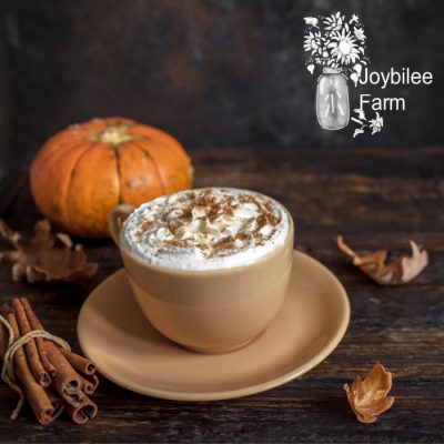 Spiced Pumpkin Syrup for Lattes and Expresso