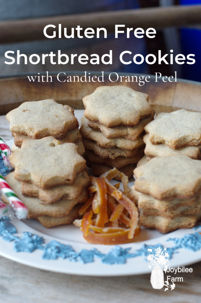 Plate of star - shaped short bread cookies with candied orange peel, and candy canes.