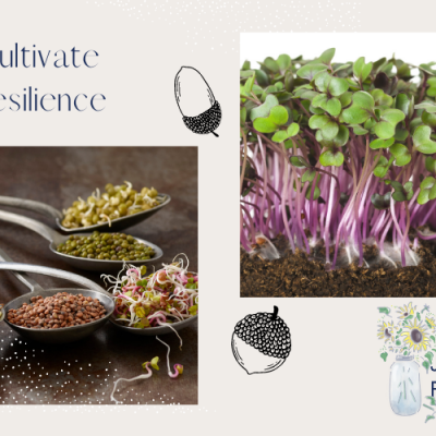 7 Ways to Cultivate Resilience