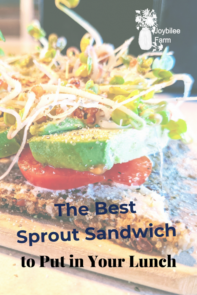 Open faced sprout and avocado sandwich