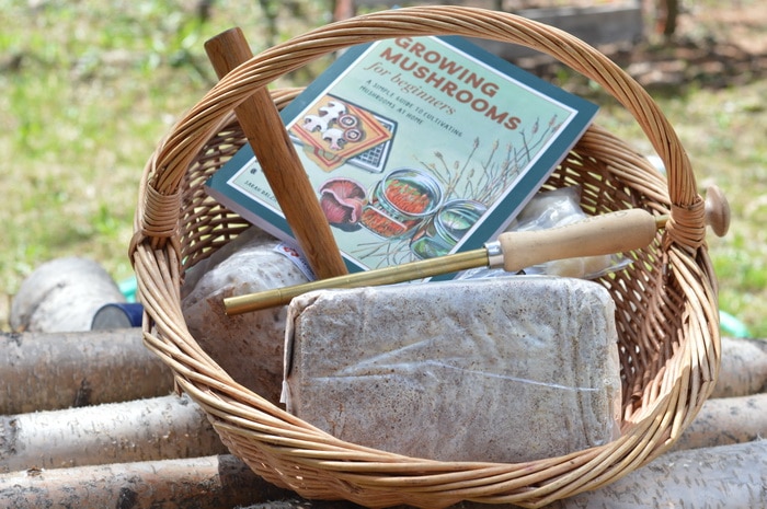 Mushroom spawn and log innoculation tools, along with a handbook for growing mushrooms in a wicker basket