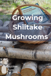 tools and mushroom spawn in a wicker basket, with guidebook, on top of logs cut and prepared for mushroom inoculation