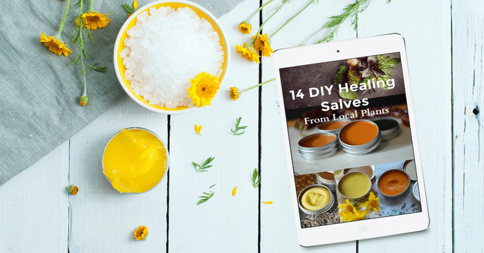 Ebook on wooden board with calendula salve and flowers