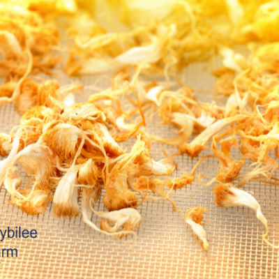 How to Make Lions Mane Mushroom Powder