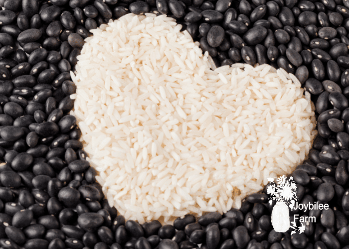 Beans and rice for long term food storage