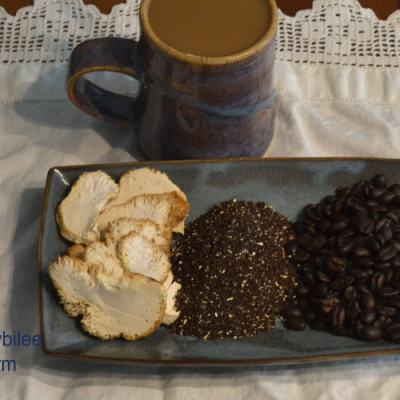 The Best Lion’s Mane Coffee Recipe You Can Make At Home