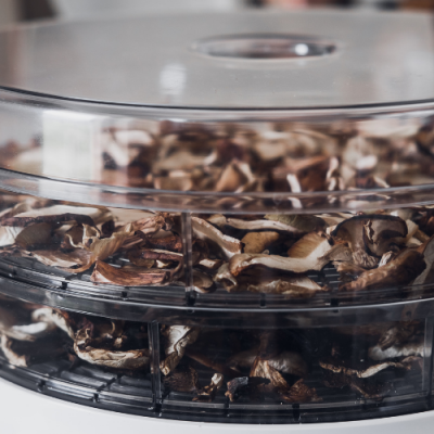 How to Dehydrate Mushrooms so they Last the Winter