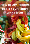 dried peppers on a string