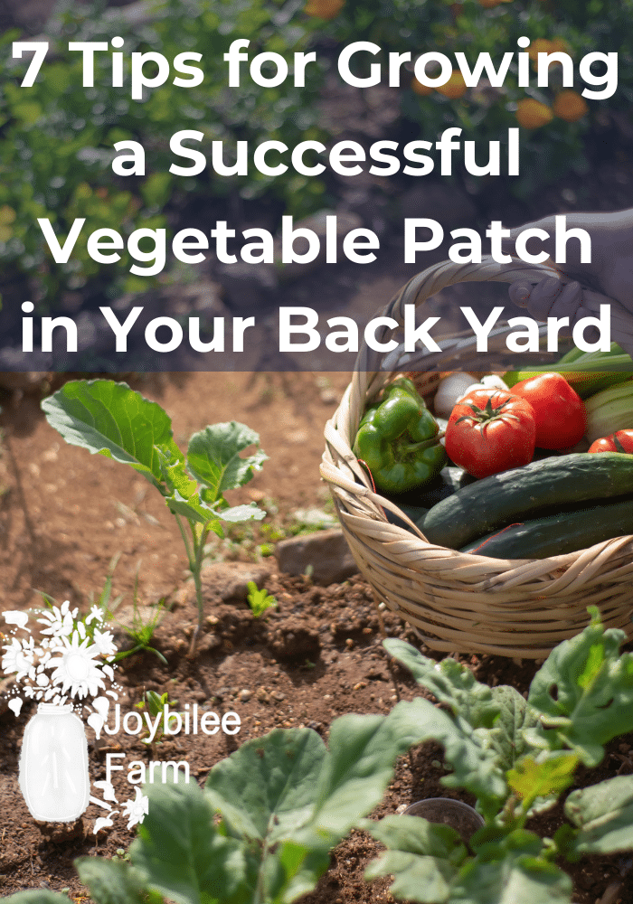 basket of produce in a vegetable patch by a broccoli seedling
