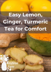 lemons sliced ginger and turmeric for tea on a wooden table