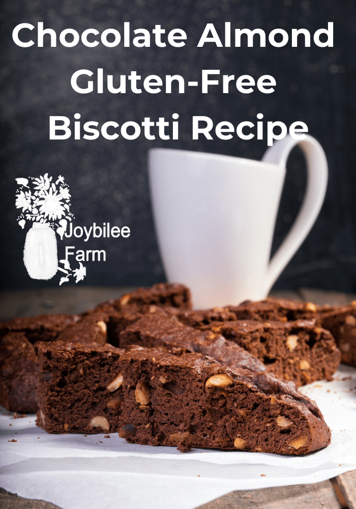 chocolate biscotti on a white plate, with a white pitcher in background