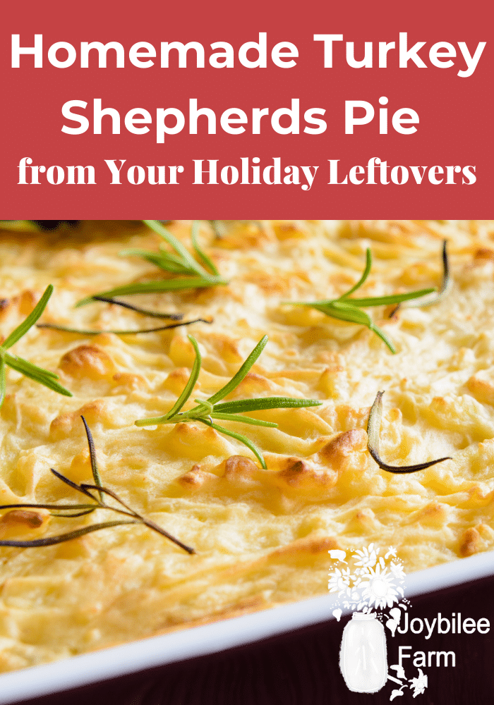 turkey shepherds pie example