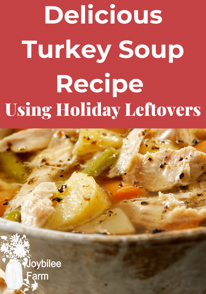 turkey soup in a bowl, homemade turkey soup recipe