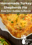 shepherds pie with cheese on top