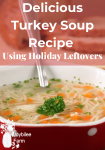 turkey soup in a bowl, homemade turkey soup recipe