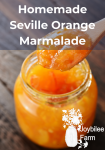 orange marmalade being spooned out of a jar