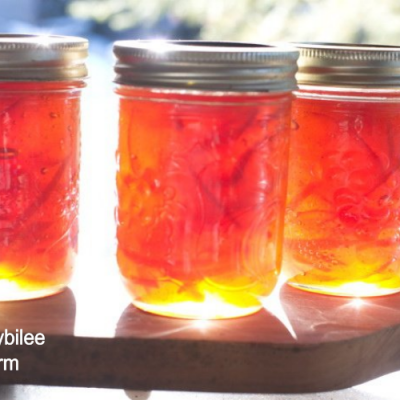 Homemade Seville Orange Marmalade