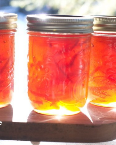 Seville orange marmalade in jars with sunlight shining through them