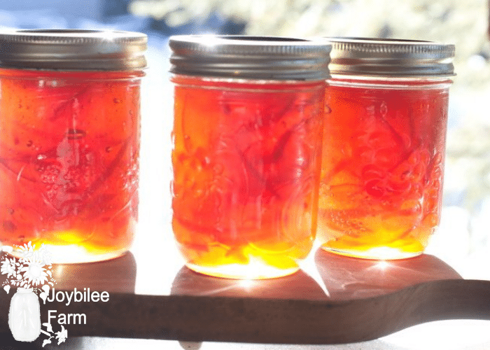 Seville orange marmalade in jars with sunlight shining through them