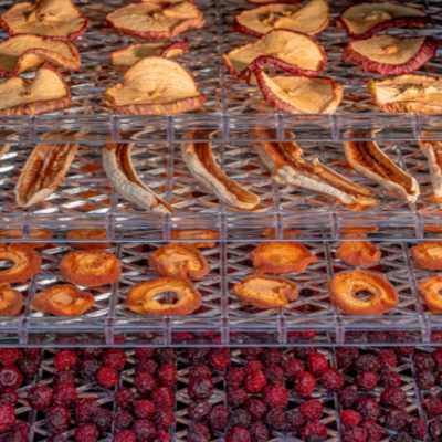9 Fruit Dehydrator Tips from Experienced Homesteaders