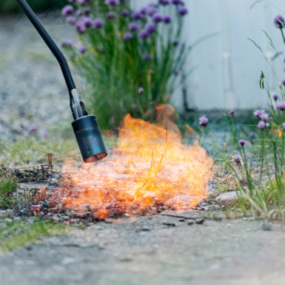 10 Organic Weed Control Methods For Your Garden