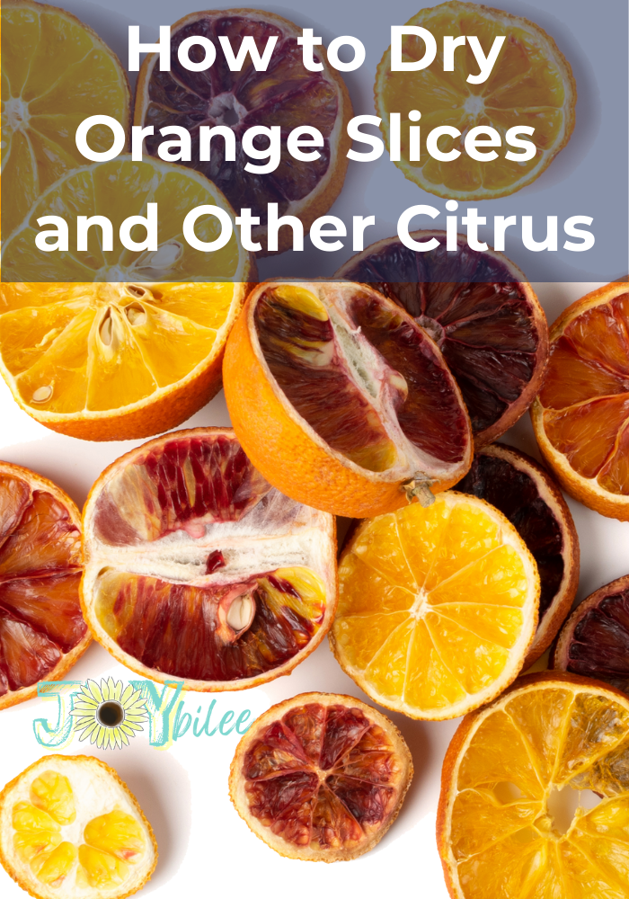How to Dry Orange Slices and Other Citrus - Joybilee Farm