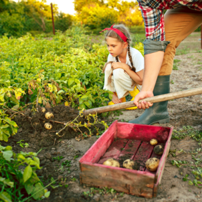 Planning Your Survival Garden
