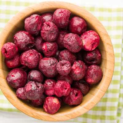 Make Your Own Freeze Dried Food at Home