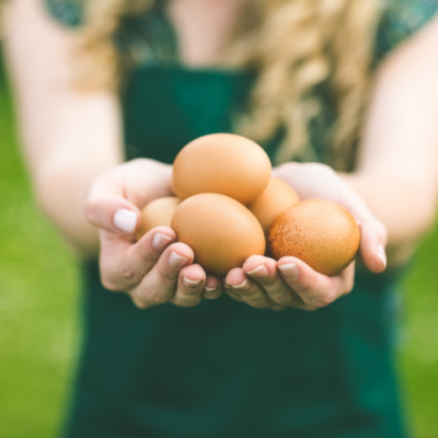 Make Freeze Dried Eggs for Long Term Food Storage